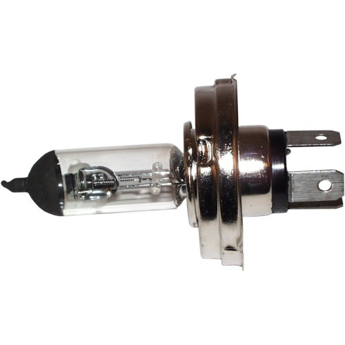 PartzBiz CE: 8195900306-Bulb for headlight, 6V, 60/55W, P45T