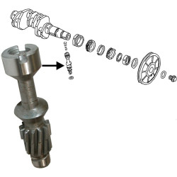 PartzBiz CE 8110451406 - Pinion for distributor drive PartzBiz CE 8110451406 - Pinion for distributor drive