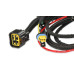 PartzBiz CM: 2907-Atomic TBI, ECU Only - Siemens