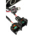 PartzBiz CM: 2907-Atomic TBI, ECU Only - Siemens