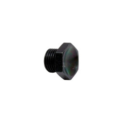 PartzBiz CM 25-604 -
AEM High Volume Fuel Rail Port Plug
PartzBiz CM 25-604 -
AEM High Volume Fuel Rail Port Plug