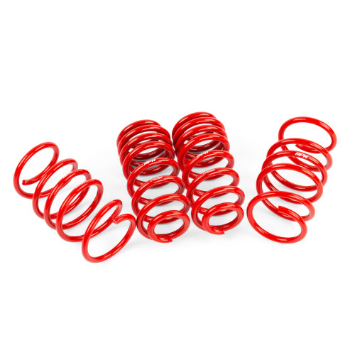 PartzBiz CM: SUS00016-
APR Roll-Control Lowering Springs - MK8 GTI
PartzBiz CM: SUS00016-
APR Roll-Control Lowering Springs - MK8 GTI