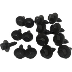 PartzBiz CM L0016-67 - BROTHERS Trucks TAILGATE BOLT KIT