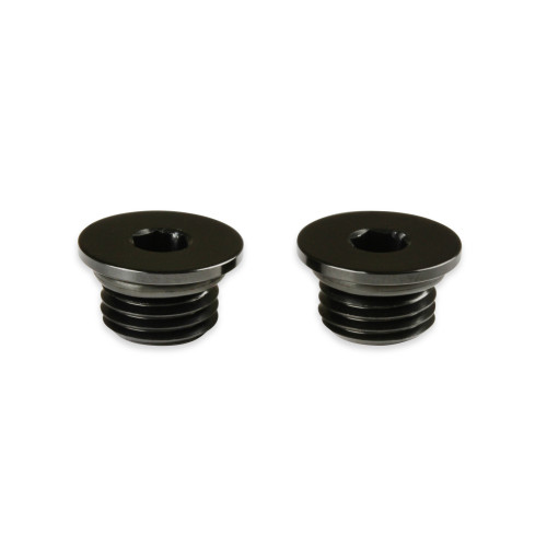 PartzBiz CM: AT581303ERL-Earl's AN Port Plug - Allen Head PartzBiz CM: AT581303ERL-Earl's AN Port Plug - Allen Head