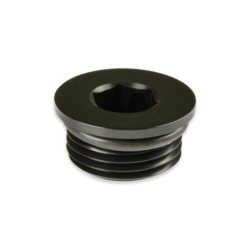 PartzBiz CM: AT981308ERL-Earl's AN Port Plug - Allen Head PartzBiz CM: AT981308ERL-Earl's AN Port Plug - Allen Head