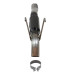 PartzBiz CM: 817963-Flowmaster Outlaw Extreme ระบบท่อไอเสีย Cat-Back PartzBiz CM: 817963-Flowmaster Outlaw Extreme ระบบท่อไอเสีย Cat-Back