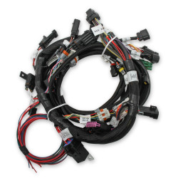 PartzBiz CM 558-110 - ชุดสายรัดหลักของเครื่องยนต์ Holley EFI Ford Coyote พร้อม Ti-VCT และคอยล์สต็อก (2011-2017) PartzBiz CM 558-110 - ชุดสายรัดหลักของเครื่องยนต์ Holley EFI Ford Coyote พร้อม Ti-VCT และคอยล์สต็อก (2011-2017)