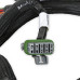 PartzBiz CM: 558-221-Holley EFI GM GEN V GDI Subharness PartzBiz CM: 558-221-Holley EFI GM GEN V GDI Subharness