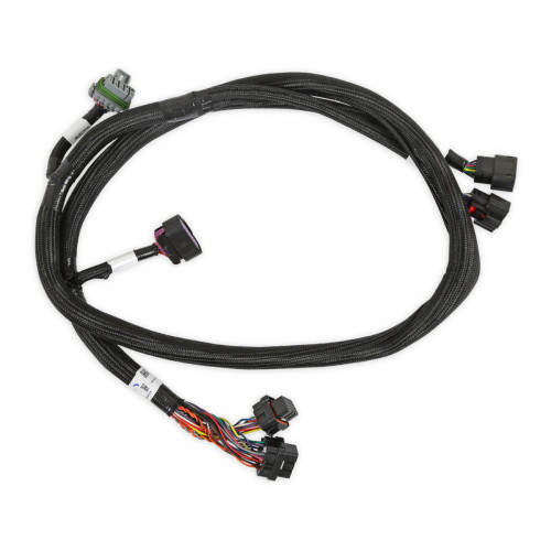 PartzBiz CM: 558-220-Holley EFI GM GEN V GDI Subharness PartzBiz CM: 558-220-Holley EFI GM GEN V GDI Subharness