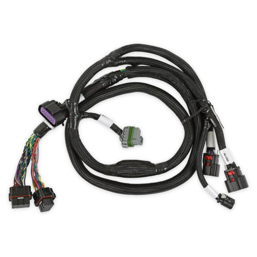 PartzBiz CM: 558-221-Holley EFI GM GEN V GDI Subharness PartzBiz CM: 558-221-Holley EFI GM GEN V GDI Subharness