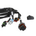 PartzBiz CM: 558-481-ชุดสายไฟ Holley EFI - T-56 PartzBiz CM: 558-481-ชุดสายไฟ Holley EFI - T-56