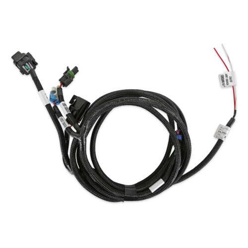 PartzBiz CM: 558-481-ชุดสายไฟ Holley EFI - T-56 PartzBiz CM: 558-481-ชุดสายไฟ Holley EFI - T-56