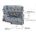 PartzBiz CM: BHS5194-Hooker BlackHeart LT Swap Exhaust Manifolds - Rear Dump - Black PartzBiz CM: BHS5194-Hooker BlackHeart LT Swap Exhaust Manifolds - Rear Dump - Black