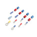 PartzBiz CM: 05030-FINOS-
NOS Sportsman Fogger Nitrous System
PartzBiz CM: 05030-FINOS-
NOS Sportsman Fogger Nitrous System