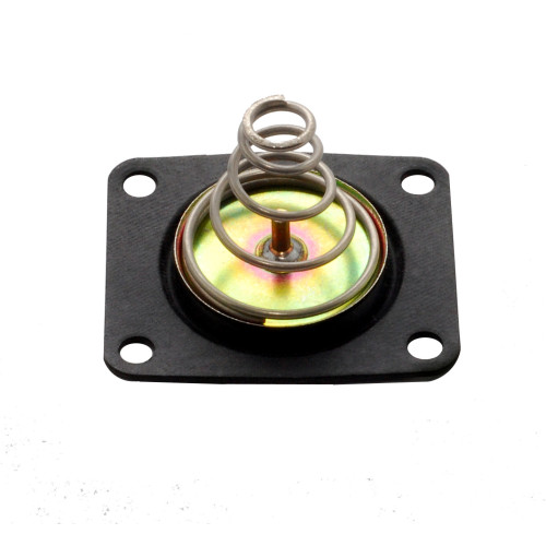 PartzBiz CM: 35-100QFT-Pressure Regulator Diaphragm Kit PartzBiz CM: 35-100QFT-Pressure Regulator Diaphragm Kit