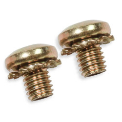 PartzBiz CM 5-6QFT - สกรูเพลทปีกผีเสื้อ หัวแฉก มาตรฐาน PartzBiz CM 5-6QFT - สกรูเพลทปีกผีเสื้อ หัวแฉก มาตรฐาน