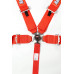 PartzBiz CM: 741011RQP-RaceQuip Camlock 5 Point Harness Set