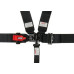 PartzBiz CM: 1B33PIKX-SIMPSON LATCH & LINK OFF-ROAD RECREATIONAL HARNESSES