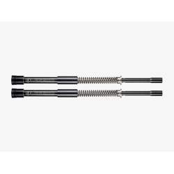 PartzBiz HD 0414-0546 - Legend AXEO High-Performance Front Suspension Fork Tube Kit Harley 18-21 Softail PartzBiz HD 0414-0546 - Legend AXEO High-Performance Front Suspension Fork Tube Kit Harley 18-21 Softail