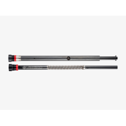PartzBiz HD 0414-0549 - Legend AXEO43 Inverted Front Suspension Fork Tube Kit Harley FXFB/FXLRS 18-20 PartzBiz HD 0414-0549 - Legend AXEO43 Inverted Front Suspension Fork Tube Kit Harley FXFB/FXLRS 18-20