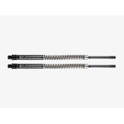 PartzBiz HD 0414-0597 - Legend AXEO High-Performance Front Suspension Fork Tube Leg Kit Harley 97-13 FLH PartzBiz HD 0414-0597 - Legend AXEO High-Performance Front Suspension Fork Tube Leg Kit Harley 97-13 FLH