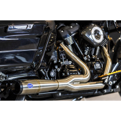 PartzBiz HD 170-0719A - S&S Cycle Chrome Air Stinger Stealth Cleaner Filter 08-17 Harley Touring Softail PartzBiz HD 170-0719A - S&S Cycle Chrome Air Stinger Stealth Cleaner Filter 08-17 Harley Touring Softail