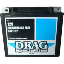 PartzBiz HD 2113-0711 - Drag Battery AGM Glass Mat Motorcycle Harley Softail FXR Sportster Shovelhead PartzBiz HD 2113-0711 - Drag Battery AGM Glass Mat Motorcycle Harley Softail FXR Sportster Shovelhead