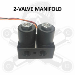 PartzBiz HD DA-2VM - Dirty Air 2-Valve Compact Manifold 200psi 1/8” NPT Black Fast-Up Rear Harley PartzBiz HD DA-2VM - Dirty Air 2-Valve Compact Manifold 200psi 1/8” NPT Black Fast-Up Rear Harley
