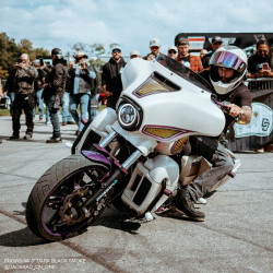 PartzBiz HD MEP8621 - New Memphis Shades 6.5” Smoke Tinted Windshield 2014-2020 Harley Batwing Touring PartzBiz HD MEP8621 - New Memphis Shades 6.5” Smoke Tinted Windshield 2014-2020 Harley Batwing Touring