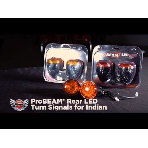 PartzBiz HD: -Custom Dynamics ProBeam Chrome Amber LED สัญญาณไฟเลี้ยวด้านหน้า 14-19 Indian Springfield Roadmaster Chieftain 2020-1744 20201744 PartzBiz HD: -Custom Dynamics ProBeam Chrome Amber LED สัญญาณไฟเลี้ยวด้านหน้า 14-19 Indian Springfield Roadmaster Chieftain 2020-1744 20201744