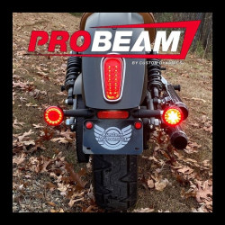 PartzBiz HD PB-SCOUT-RR-CS - Custom Dynamics ProBEAM ด้านหลังแหวนสีแดง Bullet Turn สัญญาณ LEDs Black Scout 15-20 2020-1913 20201913 CD-PB-SCOUT-RR-CS Harley light replacement อัพเกรด touring softail PartzBiz HD PB-SCOUT-RR-CS - Custom Dynamics ProBEAM ด้านหลังแหวนสีแดง Bullet Turn สัญญาณ LEDs Black Scout 15-20 2020-1913 20201913 CD-PB-SCOUT-RR-CS Harley light replacement อัพเกรด touring softail