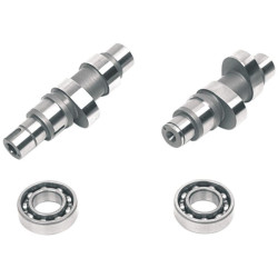 PartzBiz HD DS09250168 - Andrews 21G Series Grind Gear Drive Cam for Harley Twin Cam 07-15 .498" Lift | 216321G PartzBiz HD DS09250168 - Andrews 21G Series Grind Gear Drive Cam for Harley Twin Cam 07-15 .498" Lift | 216321G