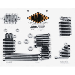 PartzBiz HD DS24010262 - Diamond Engineering OEM Polished Stainless Steel Engine Bolt Kit FLH 07-15 | DE6520P