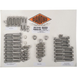 PartzBiz HD DS24010846 - Diamond Engineering 12 Point Polished Stainless Steel Engine Bolt Kit XL 04-15 | PS819S