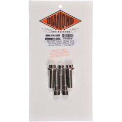 PartzBiz HD DS24010224 - Diamond Engineering 12 Point Polished Stainless Steel Engine Bolt Kit XL 04-15 | PS819S
