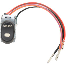 PartzBiz HD DS21060234 - Inner Fairing Cap Cruise Control Rocker Switch Harley Replacement 71513-98 98-13 | 2106-0234