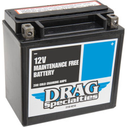 PartzBiz HD DS21130213 - Drag Specialties AGM Battery for Harley 04-13 Sportster XL Models | DTX14L-BS