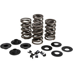 PartzBiz HD DS09263167 - Kibblewhite 20-21650 Racing .650" Lift Valve Spring Kit 84-04 Harley Davidson Twin Cam & Evolution Touring Softail Sportster 88 96 103 Cubic Inch Performance Horse Power Upgrade Engine Motor Aftermarket Replacement Race Bike Parts 0926-3167 09263