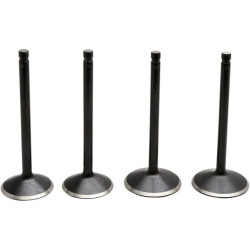 PartzBiz HD DS09263207 - Kibblewhite 20-22300 Black Diamond Steel Engine Valves 70-83 Harley Sportster