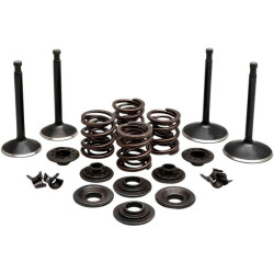 PartzBiz HD DS09263208 - Kibblewhite 20-22350 Black Diamond Steel Engine Valve Kit 70-83 Harley Sportster 
