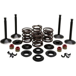 PartzBiz HD DS09263314 - EPC Great Price. Free Shipping. Kibblewhite 20-22450 Black Diamond Stainless Steel Valve Kit Shovelhead 74 66-77