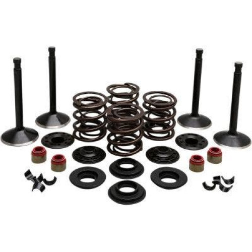 PartzBiz HD: 4413708-EPC ราคาสุดคุ้ม จัดส่งฟรี. Kibblewhite 20-22450 ชุดวาล์วสแตนเลสเพชรสีดำหัวพลั่ว 74 66-77 PartzBiz HD: 4413708-EPC ราคาสุดคุ้ม จัดส่งฟรี. Kibblewhite 20-22450 ชุดวาล์วสแตนเลสเพชรสีดำหัวพลั่ว 74 66-77