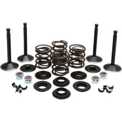 PartzBiz HD DS09263316 - EPC Great Price. Free Shipping. Kibblewhite 20-22550 Black Diamond Stainless Steel Valve Kit Shovelhead 80 78-83