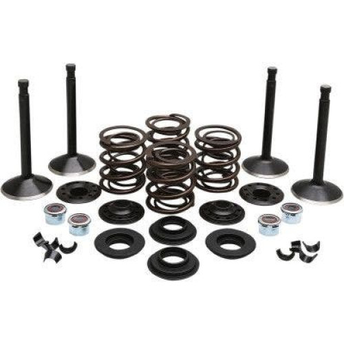 PartzBiz HD: 4413709-EPC ราคาสุดคุ้ม จัดส่งฟรี. Kibblewhite 20-22550 ชุดวาล์วสแตนเลสไดมอนด์สีดำหัวพลั่ว 80 78-83
