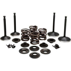 PartzBiz HD DS09263312 - EPC Great Price. Free Shipping. Kibblewhite 20-22250 Black Diamond Stainless Steel Valve Kit Panhead XL 57-69