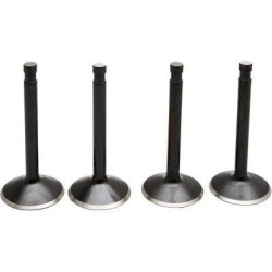 PartzBiz HD DS09263315 - EPC Great Price. Free Shipping. Kibblewhite 20-22500 Black Diamond Stainless Steel Valve Kit Shovelhead 80 78-83