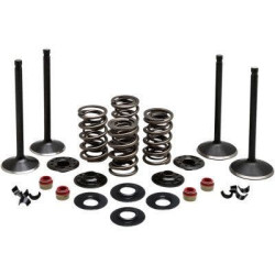 PartzBiz HD DS09263218 - Kibblewhite 20-23050 Black Diamond Stainless Steel Valve Kit H-D Twin Cam 99-04
