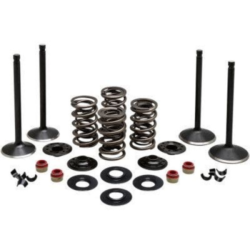 PartzBiz HD: 4413714-Kibblewhite 20-23050 Black Diamond Stainless Steel Valve Kit H-D Twin Cam 99-04