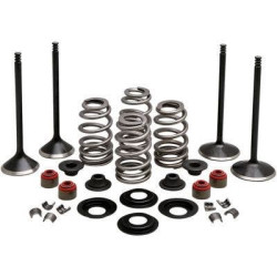 PartzBiz HD DS09263220 - Kibblewhite 20-23150 Black Diamond Stainless Steel Valve Kit H-D Twin Cam 05-17