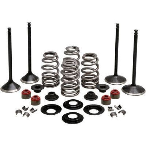 PartzBiz HD: 4413716-Kibblewhite 20-23150 Black Diamond Stainless Steel Valve Kit H-D Twin Cam 05-17